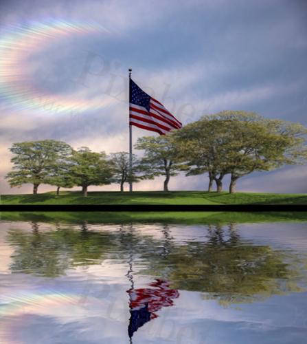 FLAG AND TREE REFLECTIONS