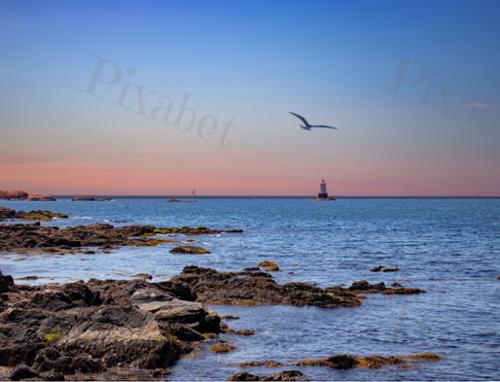SAKONNET COAST 