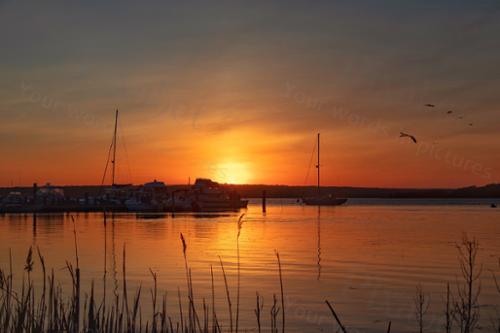 WESTPORT 4