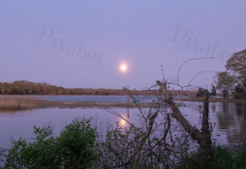 MOONRISE