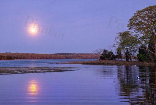 ADAMSVILLE MOON