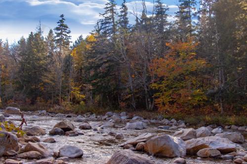 ROCKY FALLS