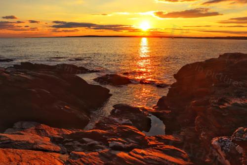 BEAVERTAIL 22