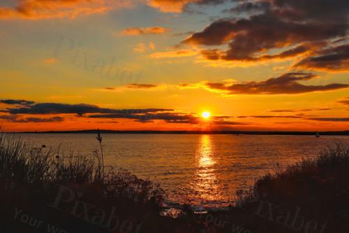 BEAVERTAIL 21