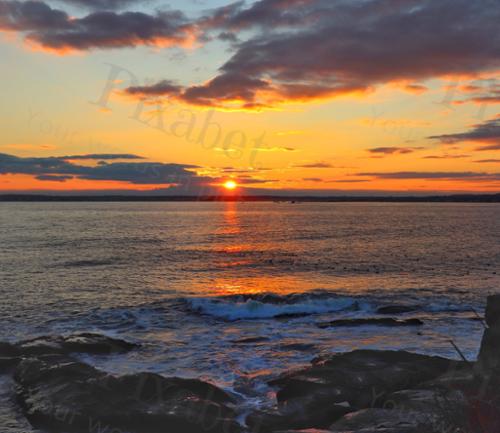 BEAVERTAIL 20