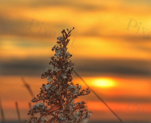 SUNSET BCKGROUND