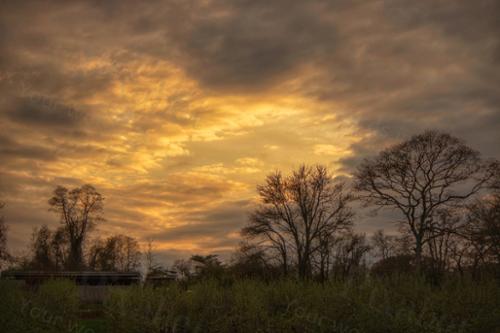 FARM SUNSET