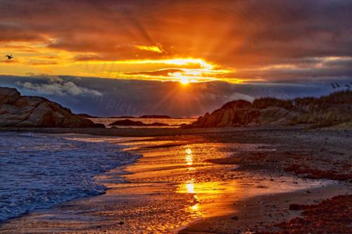 WARRENS RAYS