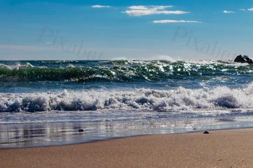 WAVES