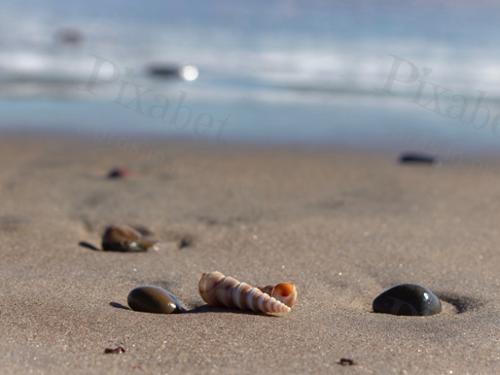 SHELLS AND ROCKS