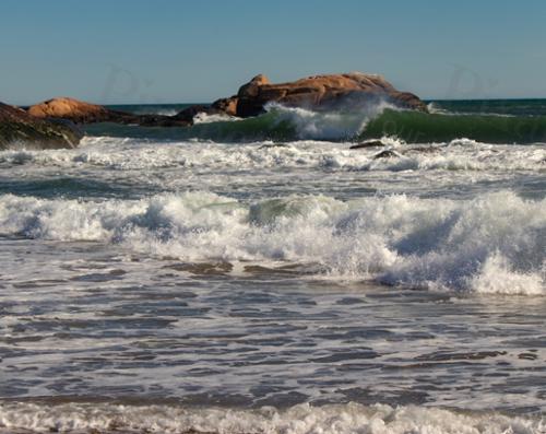 OCEAN SPRAY