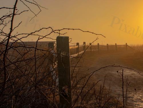 FENCE LIGHTING 1