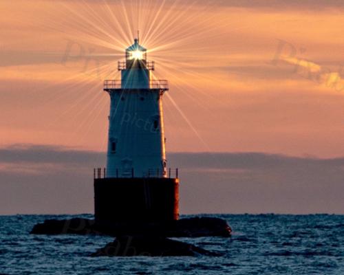 SAKONNET RAYS