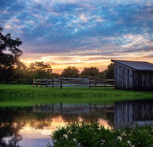 FARM REFLECTIONS
