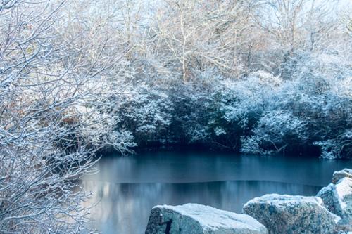 winter pond