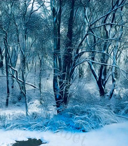 WINTERY TREE BLUES