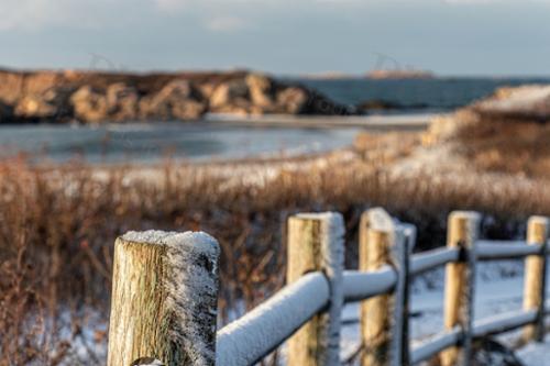 winter post