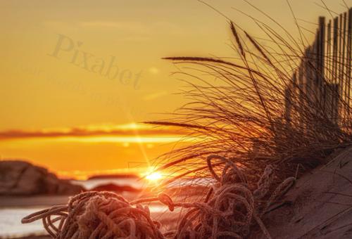 golden ropes
