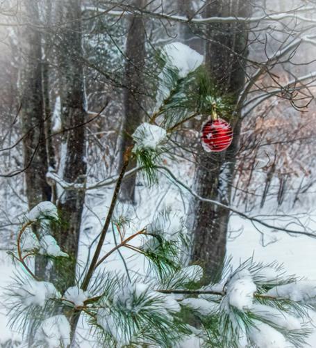 Charlie Brown TREE