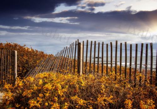 BEACH IN FALL
