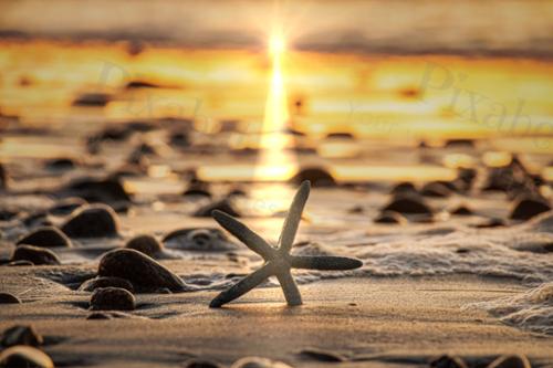 SUNRISE WITH STARFISH