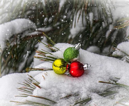 CLOSE UP ORNAMENTS 