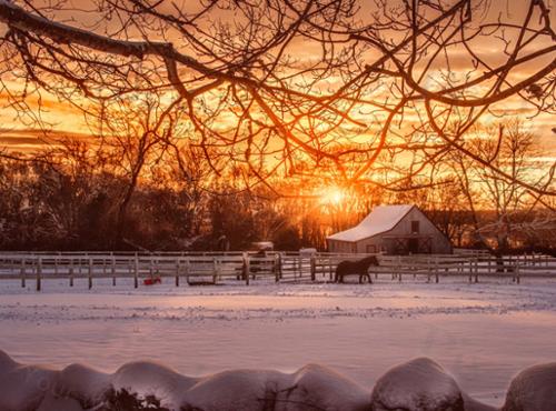 SNOW FARM SUNSET