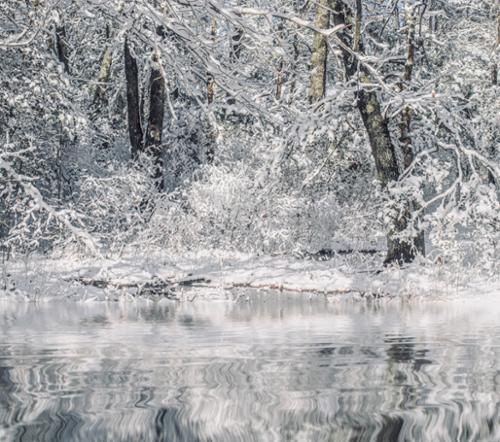 WINTER REFLECTIONS