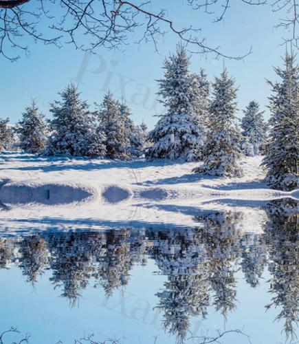 CHRISTMAS REFLECTIONS
