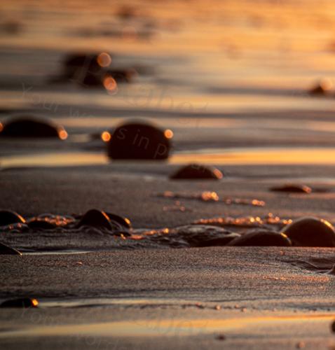 BEACH ROCKS